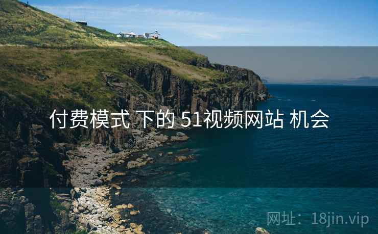 付费模式 下的 51视频网站 机会