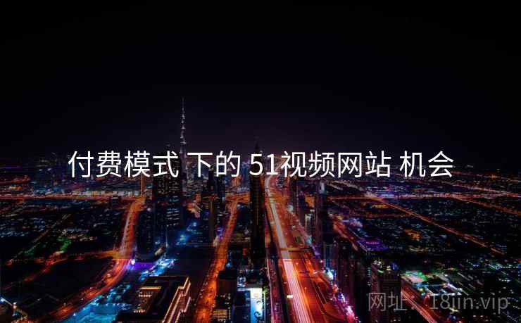 付费模式 下的 51视频网站 机会