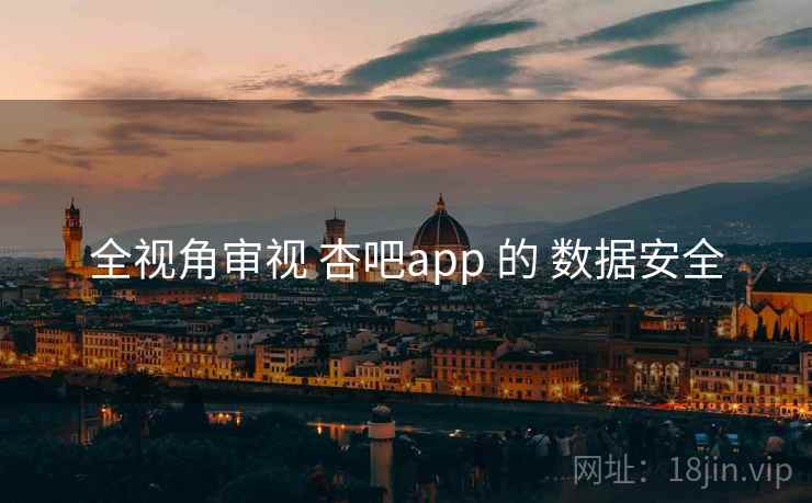 全视角审视 杏吧app 的 数据安全