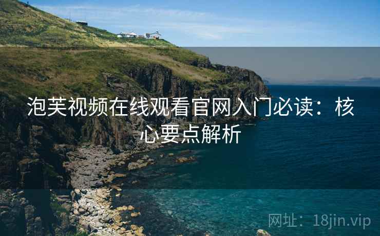 泡芙视频在线观看官网入门必读：核心要点解析