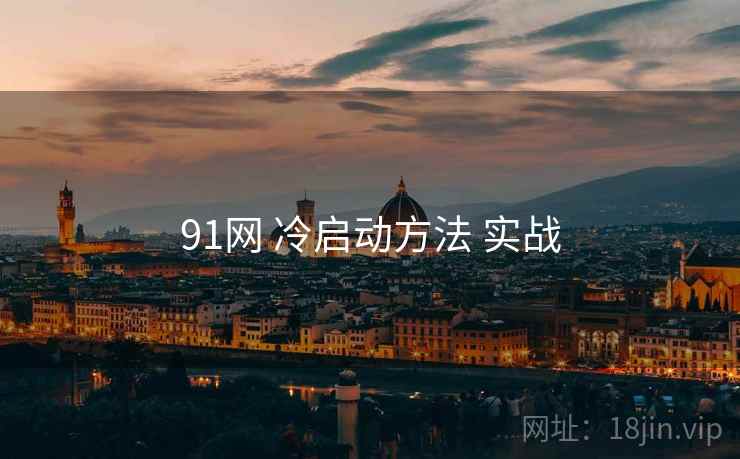 91网 冷启动方法 实战