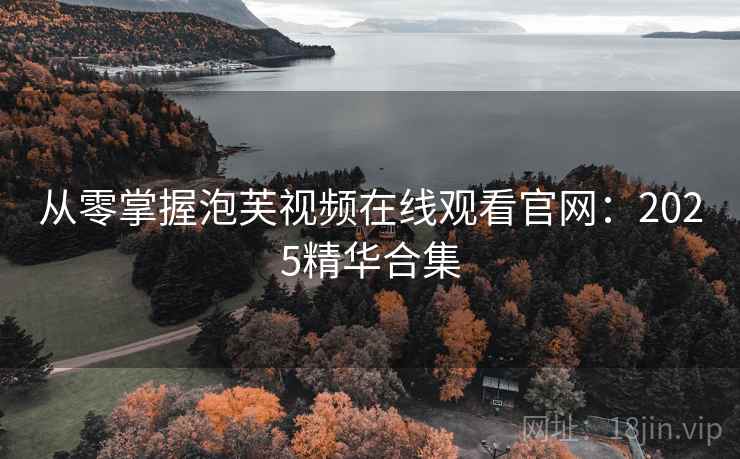 从零掌握泡芙视频在线观看官网：2025精华合集