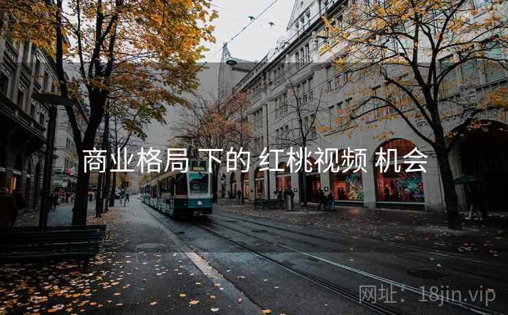 商业格局 下的 红桃视频 机会