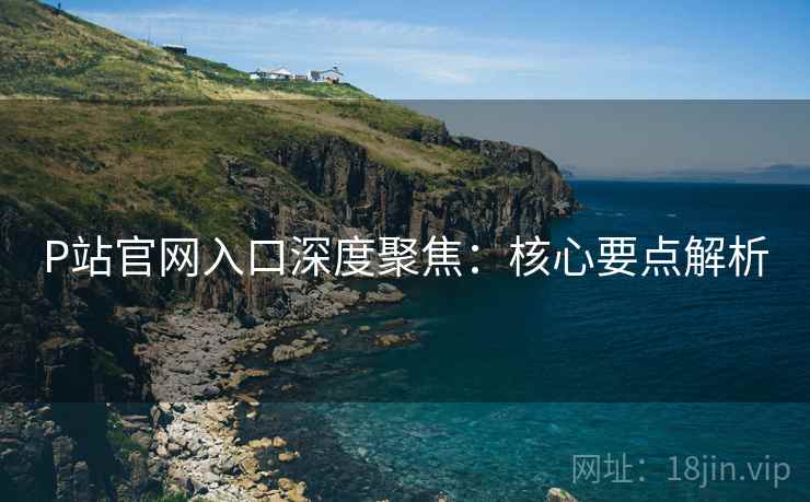 P站官网入口深度聚焦：核心要点解析