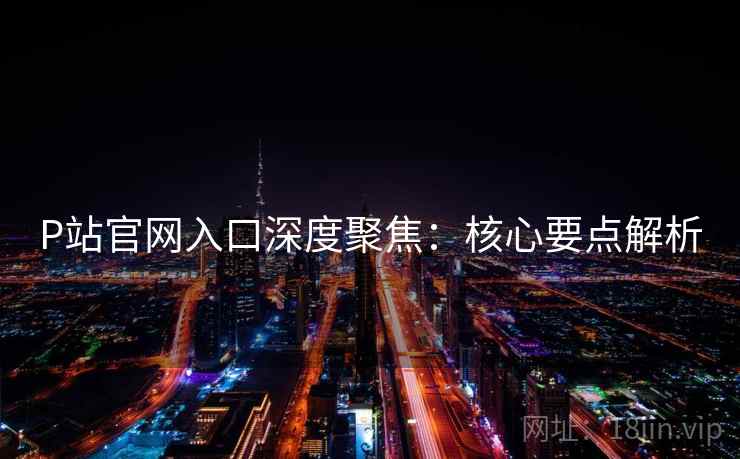 P站官网入口深度聚焦：核心要点解析