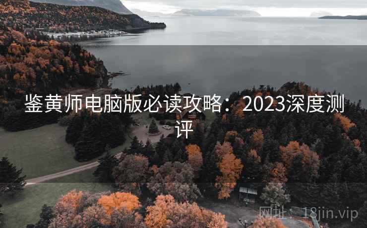 鉴黄师电脑版必读攻略：2023深度测评