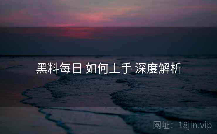 黑料每日 如何上手 深度解析