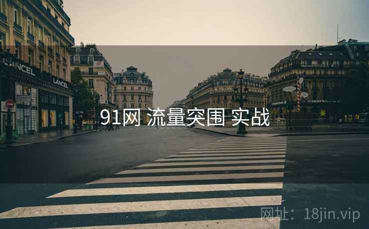 91网 流量突围 实战
