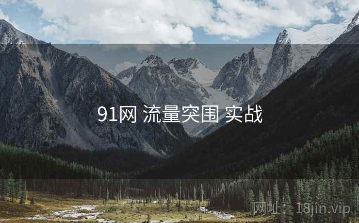 91网 流量突围 实战
