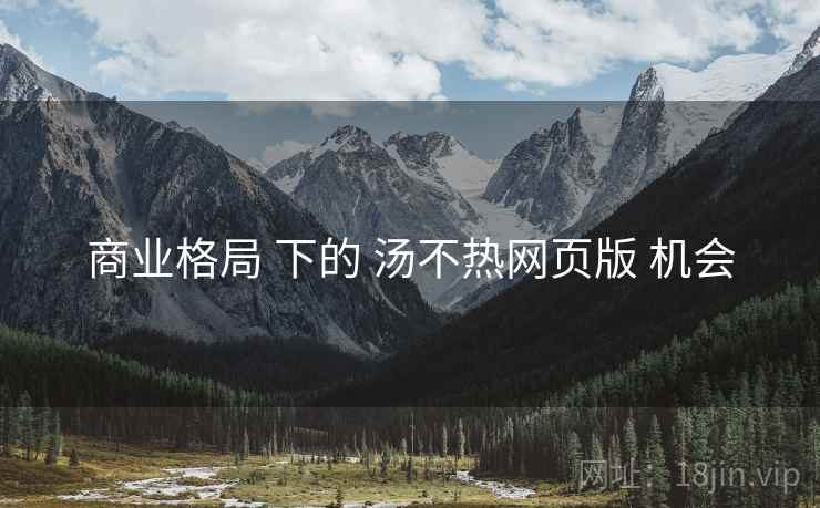 商业格局 下的 汤不热网页版 机会