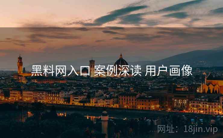 黑料网入口 案例深读 用户画像