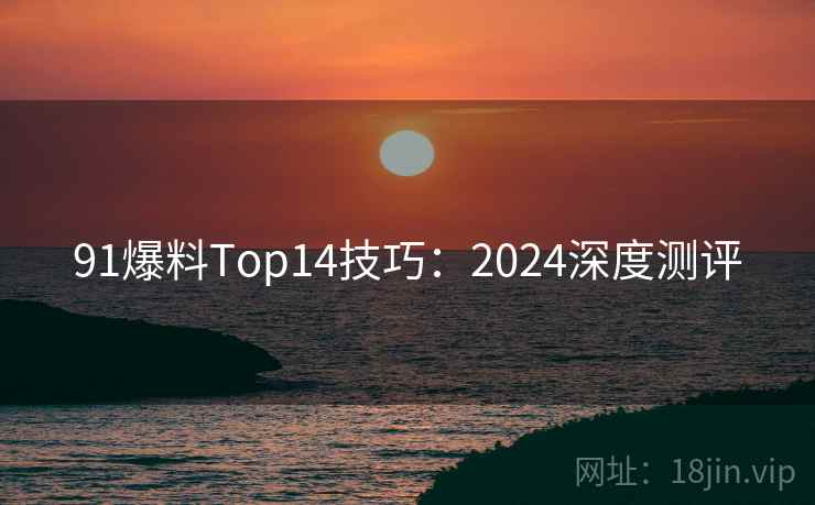 91爆料Top14技巧：2024深度测评