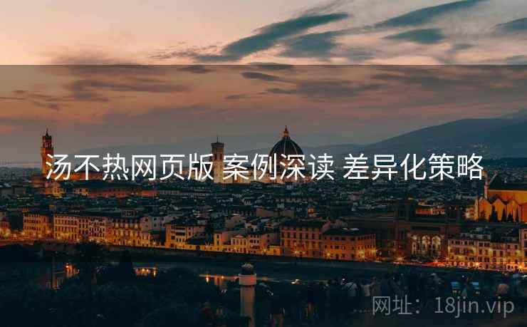 汤不热网页版 案例深读 差异化策略