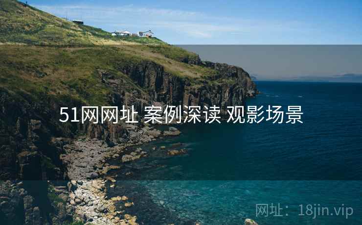 51网网址 案例深读 观影场景