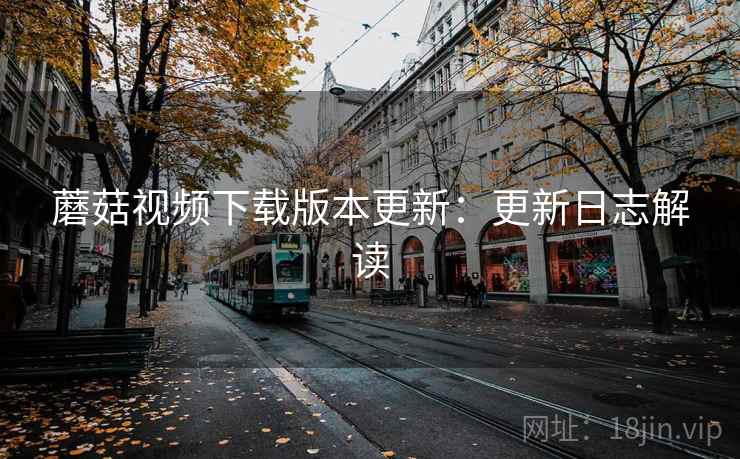蘑菇视频下载版本更新：更新日志解读