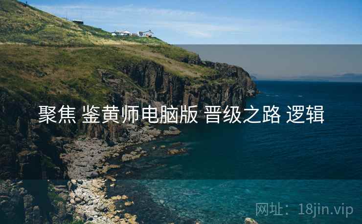 聚焦 鉴黄师电脑版 晋级之路 逻辑