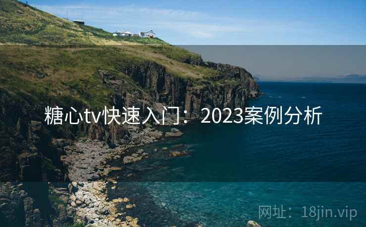 糖心tv快速入门：2023案例分析