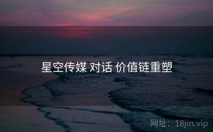 星空传媒 对话 价值链重塑