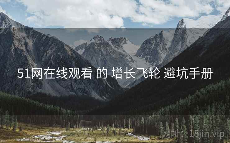 51网在线观看 的 增长飞轮 避坑手册