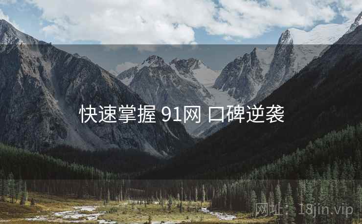 快速掌握 91网 口碑逆袭