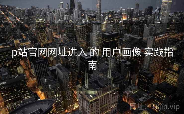 p站官网网址进入 的 用户画像 实践指南