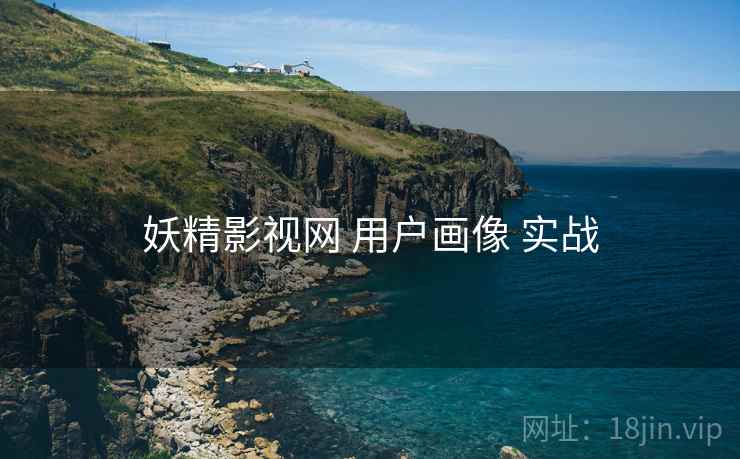 妖精影视网 用户画像 实战