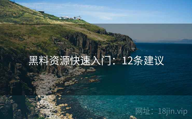 黑料资源快速入门：12条建议